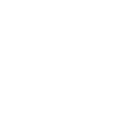 RoboInvestor Logo